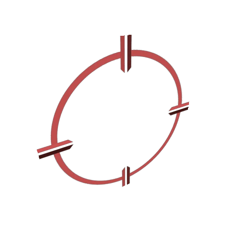 2d ring target 12 Red